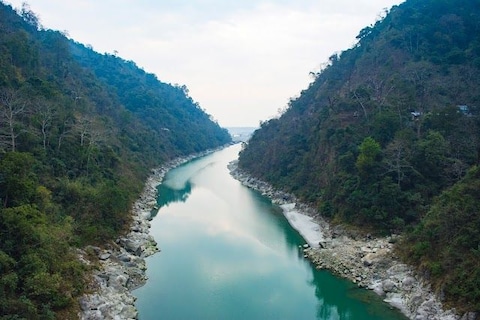 Mahananda Wildlife Sanctuary